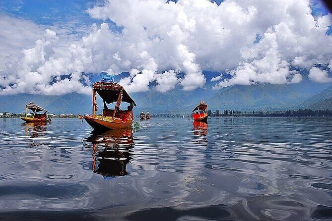 Private Kashmir Family 7-Day Tour - Pahalgam Route Through Awantipora: Ruins, Saffron Fields, and Valley Time