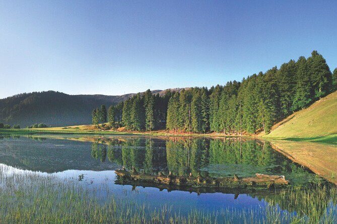 Private Kashmir Family 7-Day Tour - Back to Srinagar: Mughal Gardens and Shankaracharya Temple Sights