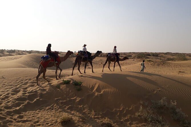 Private Overnight Safari Tour with Camel Ride - Key Highlights You’ll Actually Notice