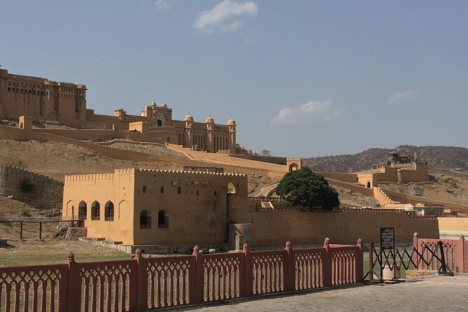 Private Same day Jaipur Tour from New Delhi - Jal Mahal: a quick water-palace moment