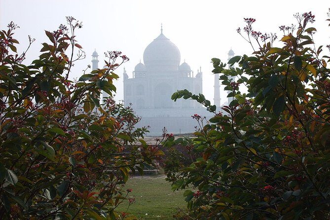 Private Taj Mahal from Delhi to Agra By Car - Lunch at a Local AC Spot: A Real Breather Before the Afternoon