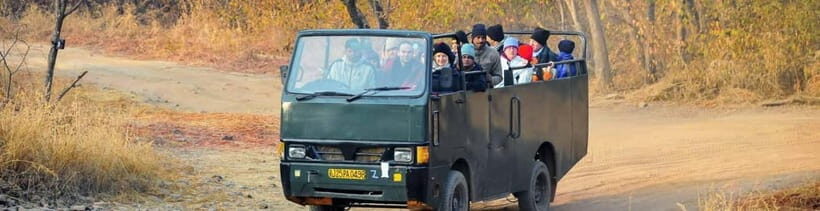 Ranthambore National Park: Safari Ticket with Pickup Option - Itinerary Walkthrough: The Flow From Pickup to Park Viewing