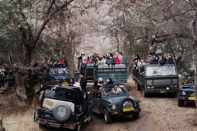 Ranthambore: Sharing Safari In Canter Or Gypsy Vehicle All Incl. - Pickup and Return Transfers from Sawai Madhopur: Easy Start, Less Hassle