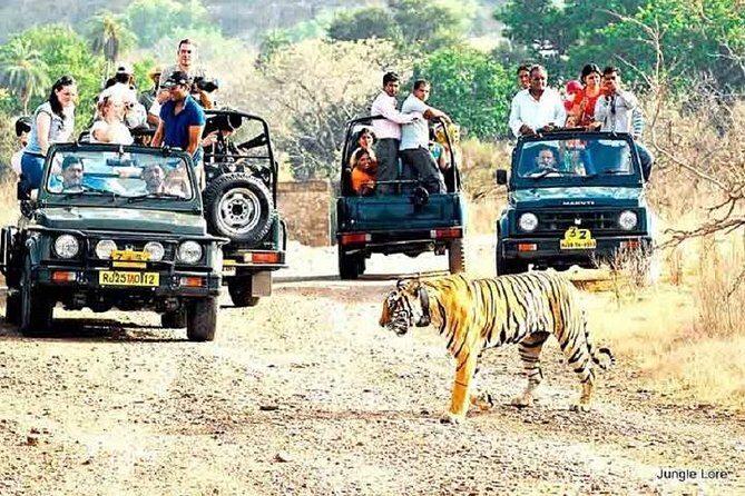 Ranthambore Wildlife Safari with Tickets & Transfer Options - Quick hit checklist