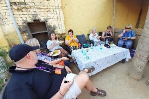 Real Village Tour Amritsar - Hands-on farm moments: milking cows, tractor rides, bullock cart time