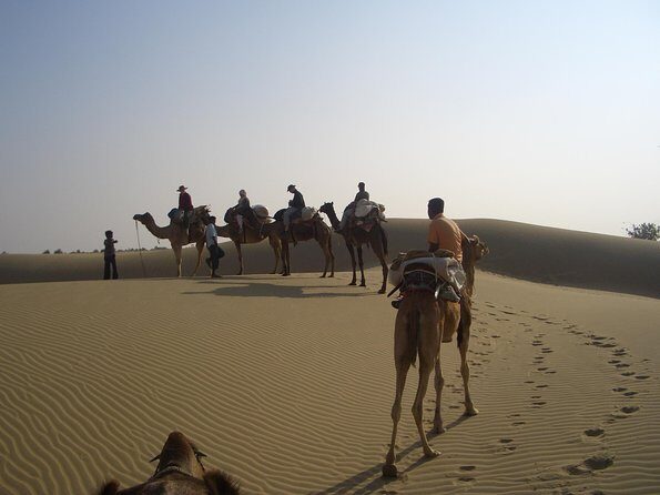 Shahi Over Night camel safari non touristic sand dune - Key Moments That Make This Safari Worth It