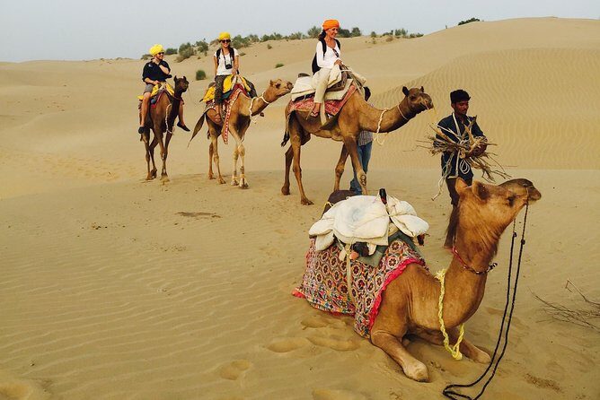 Shahi Over Night camel safari non touristic sand dune - Price: $391.59 Per Person and How to Judge Value Honestly