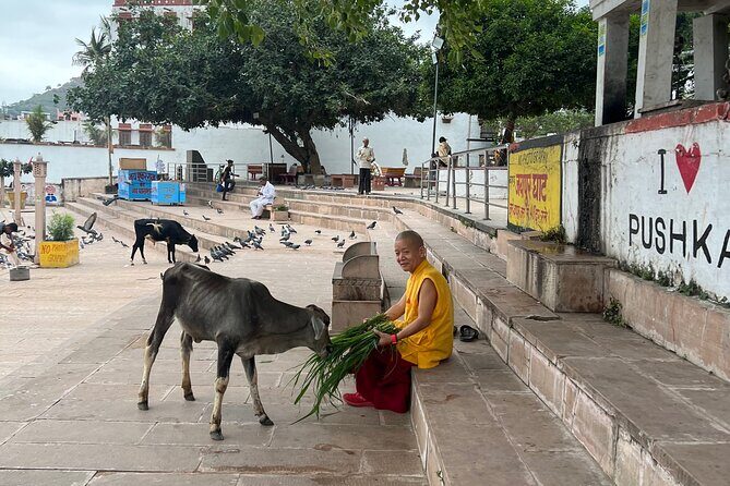 Spiritual City Walking Tour-THE Pushkar Route - Brahma Temple: Why This One Is Special in the World