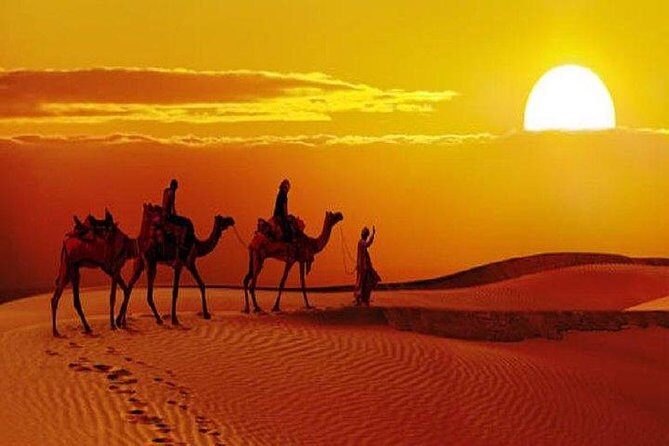 Sunset Safari With Dinner - Bonfire Dinner Under the Desert Night: What You’ll Actually Eat