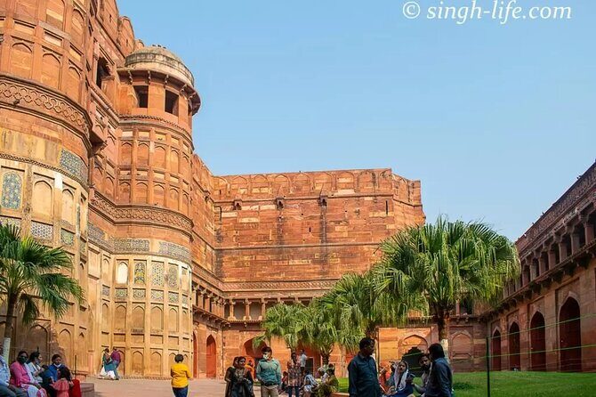 Taj Mahal Sunrise Tour with Elephant Conservation From Delhi - Elephant Conservation & Care Center: caring work, clear expectations