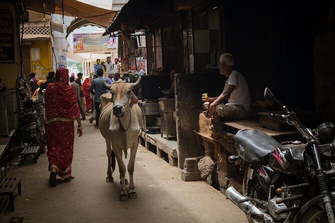 The Ultimate 3 Days in Varanasi - How to Spend 39 Hours - For First Timers - Why 39 Hours in Varanasi Makes Sense for First Timers