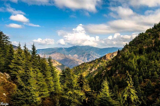 Top Tibba Trek - Mussoorie - What to Wear and Bring for an Uphill, Forest Day