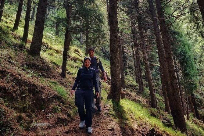 Top Tibba Trek - Mussoorie - Meeting at Mall Road and What 4 Hours Really Means