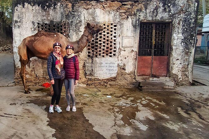 Udaipur Bicycle Tour - The ride around Fateh Sagar: Rani Road feels like a living morning