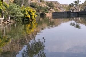Udaipur sightseeing by tuk tuk or car - Timing: a full day that stays manageable (about 8 hours)